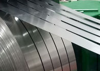 Hiperco 50 HS Soft Magnetic Cold Rolled Strip R30005 with Niobium added Heat Treatment Service Thickness 0.1-0.5mm